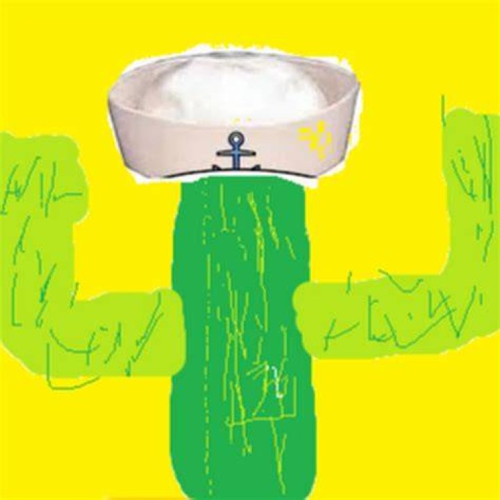 captaincomfycactus